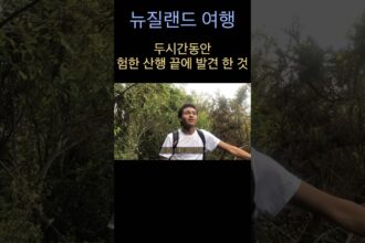 1759898412 maxresdefault infoshare - nz immigration news / 뉴질랜드 이민정보