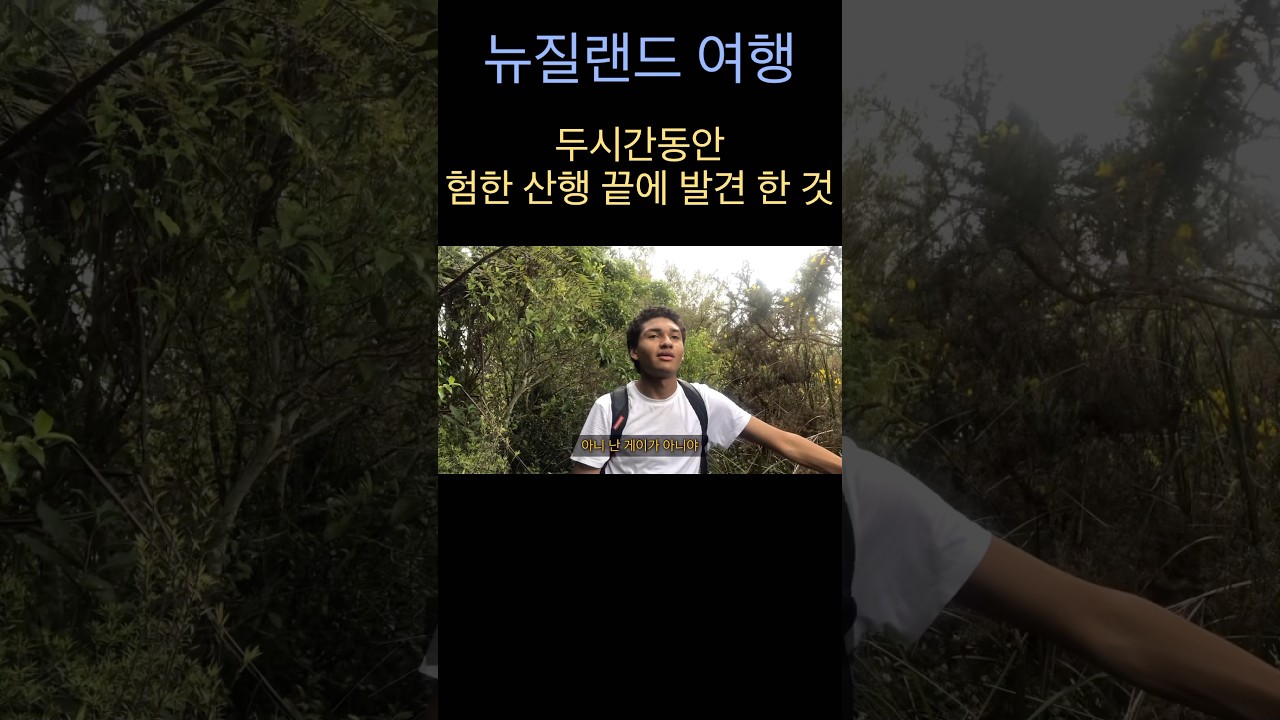infoshare - nz immigration news / 뉴질랜드 이민정보