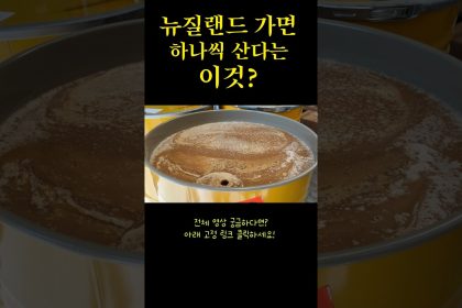 1759909807 maxresdefault infoshare - nz immigration news / 뉴질랜드 이민정보