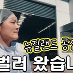 1759914010 maxresdefault infoshare - nz immigration news / 뉴질랜드 이민정보