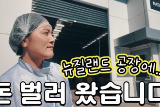 1759914010 maxresdefault infoshare - nz immigration news / 뉴질랜드 이민정보