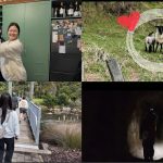 1759916565 maxresdefault infoshare - nz immigration news / 뉴질랜드 이민정보
