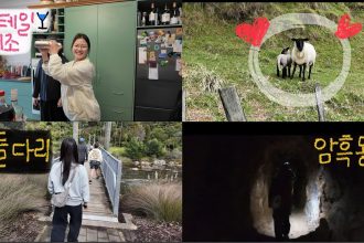 1759916565 maxresdefault infoshare - nz immigration news / 뉴질랜드 이민정보