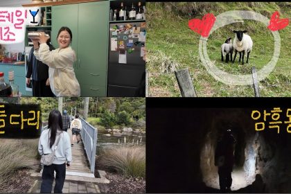 1759916565 maxresdefault infoshare - nz immigration news / 뉴질랜드 이민정보