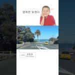 1759916646 maxresdefault infoshare - nz immigration news / 뉴질랜드 이민정보