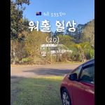 1759916653 maxresdefault infoshare - nz immigration news / 뉴질랜드 이민정보