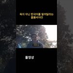 1759916754 maxresdefault infoshare - nz immigration news / 뉴질랜드 이민정보