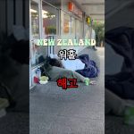 1759916781 maxresdefault infoshare - nz immigration news / 뉴질랜드 이민정보