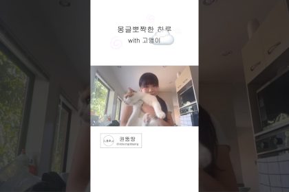 1759916788 maxresdefault infoshare - nz immigration news / 뉴질랜드 이민정보