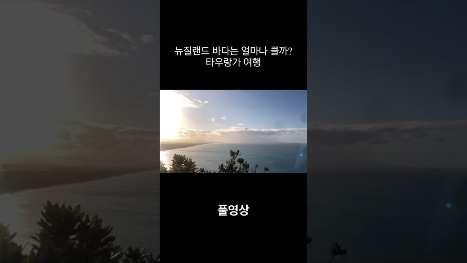 1759916842 maxresdefault infoshare - nz immigration news / 뉴질랜드 이민정보