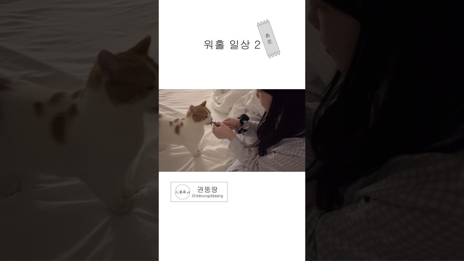 1759916857 maxresdefault infoshare - nz immigration news / 뉴질랜드 이민정보