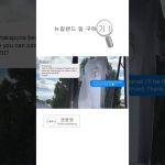 1759916936 maxresdefault infoshare - nz immigration news / 뉴질랜드 이민정보