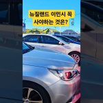 1759926609 maxresdefault infoshare - nz immigration news / 뉴질랜드 이민정보