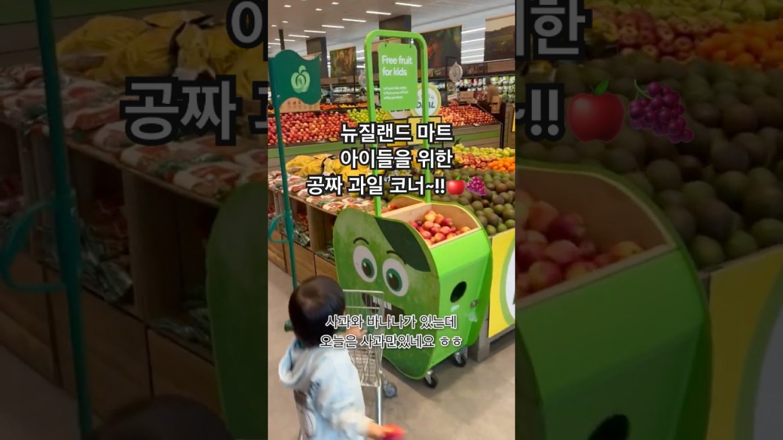 1759930807 maxresdefault infoshare - nz immigration news / 뉴질랜드 이민정보