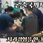 1759956007 maxresdefault infoshare - nz immigration news / 뉴질랜드 이민정보