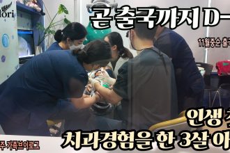 1759956007 maxresdefault infoshare - nz immigration news / 뉴질랜드 이민정보