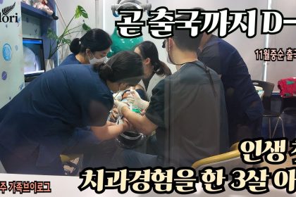 1759956007 maxresdefault infoshare - nz immigration news / 뉴질랜드 이민정보
