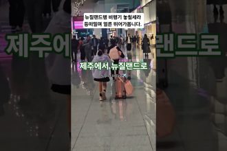 1759960812 maxresdefault infoshare - nz immigration news / 뉴질랜드 이민정보