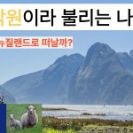 1760008807 maxresdefault infoshare - nz immigration news / 뉴질랜드 이민정보