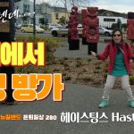 1760079610 maxresdefault infoshare - nz immigration news / 뉴질랜드 이민정보