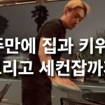 1760172608 maxresdefault infoshare - nz immigration news / 뉴질랜드 이민정보