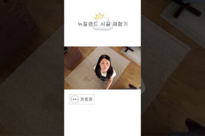 1760338810 maxresdefault infoshare - nz immigration news / 뉴질랜드 이민정보
