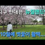 1760346010 hqdefault infoshare - nz immigration news / 뉴질랜드 이민정보