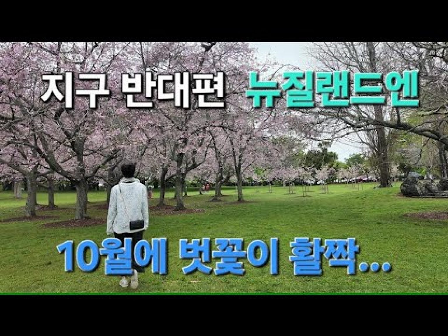 1760346010 hqdefault infoshare - nz immigration news / 뉴질랜드 이민정보