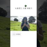 1760426411 maxresdefault infoshare - nz immigration news / 뉴질랜드 이민정보