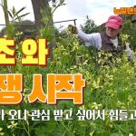 1760430008 maxresdefault infoshare - nz immigration news / 뉴질랜드 이민정보