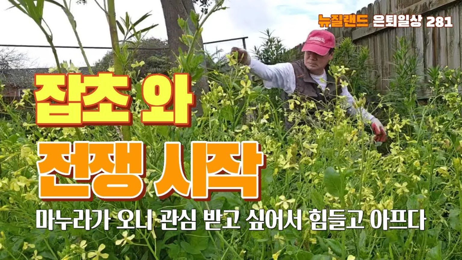 1760430008 maxresdefault infoshare - nz immigration news / 뉴질랜드 이민정보
