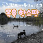 1760432410 maxresdefault infoshare - nz immigration news / 뉴질랜드 이민정보