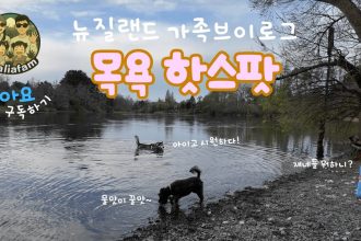 1760432410 maxresdefault infoshare - nz immigration news / 뉴질랜드 이민정보