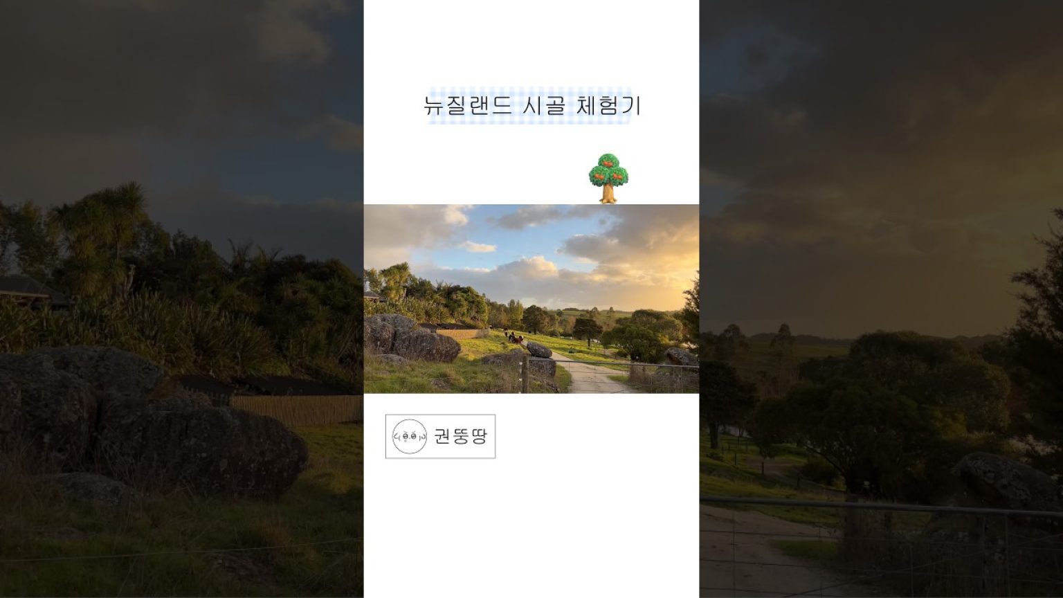 1760511612 maxresdefault infoshare - nz immigration news / 뉴질랜드 이민정보