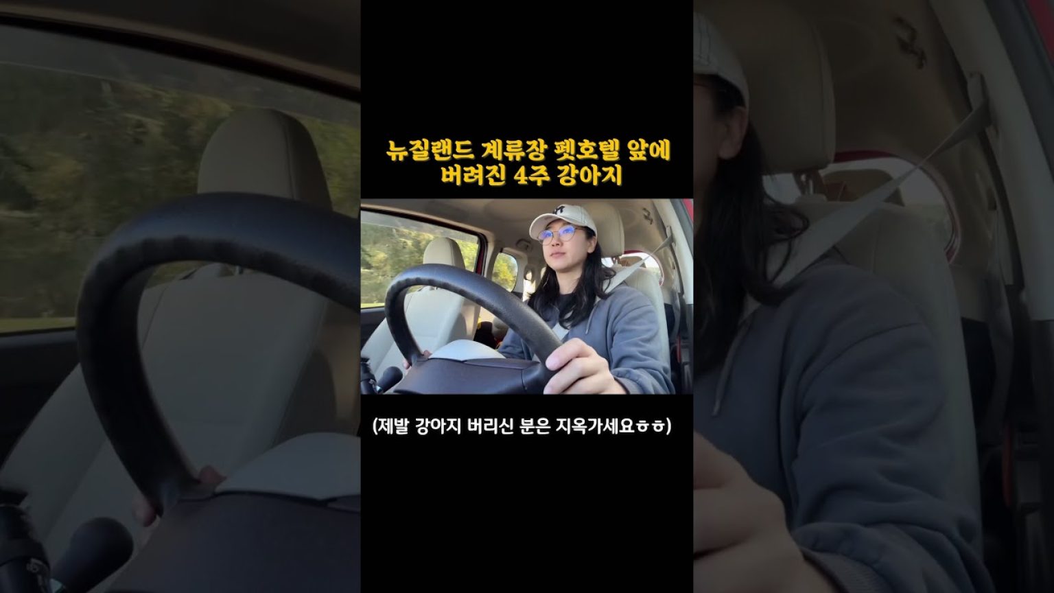 1760604010 maxresdefault infoshare - nz immigration news / 뉴질랜드 이민정보