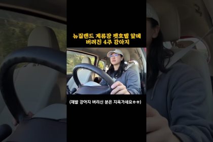 1760604010 maxresdefault infoshare - nz immigration news / 뉴질랜드 이민정보