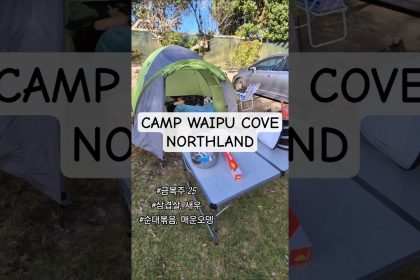1760858409 maxresdefault infoshare - nz immigration news / 뉴질랜드 이민정보