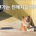 1760946608 maxresdefault infoshare - nz immigration news / 뉴질랜드 이민정보