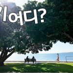1760965808 maxresdefault infoshare - nz immigration news / 뉴질랜드 이민정보