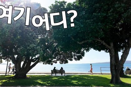 1760965808 maxresdefault infoshare - nz immigration news / 뉴질랜드 이민정보