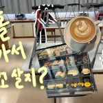 1761034208 maxresdefault infoshare - nz immigration news / 뉴질랜드 이민정보