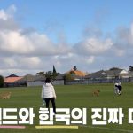 1761211809 maxresdefault infoshare - nz immigration news / 뉴질랜드 이민정보