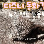 1761301813 maxresdefault infoshare - nz immigration news / 뉴질랜드 이민정보
