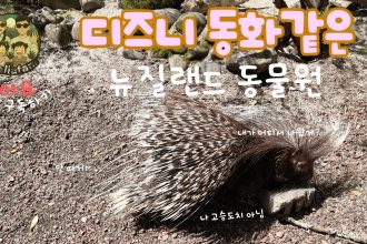1761301813 maxresdefault infoshare - nz immigration news / 뉴질랜드 이민정보