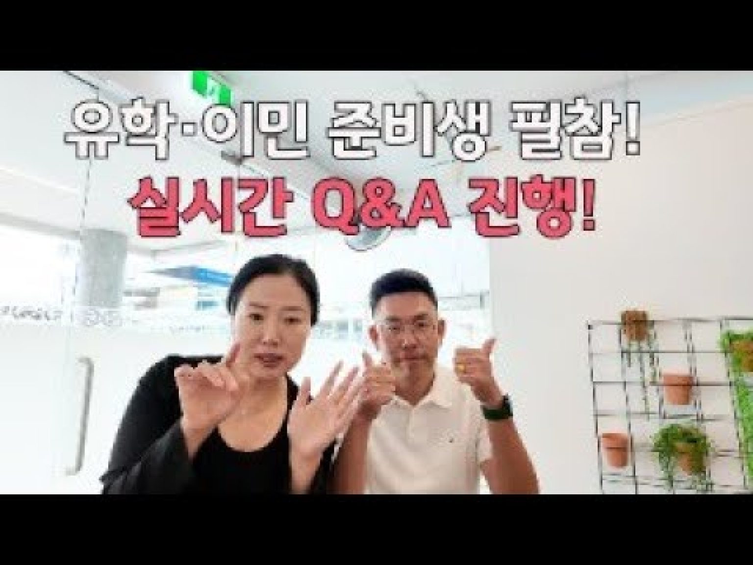 1761381010 hqdefault infoshare - nz immigration news / 뉴질랜드 이민정보