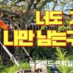 1761660611 maxresdefault infoshare - nz immigration news / 뉴질랜드 이민정보