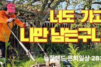 1761660611 maxresdefault infoshare - nz immigration news / 뉴질랜드 이민정보
