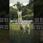 1761677409 maxresdefault infoshare - nz immigration news / 뉴질랜드 이민정보