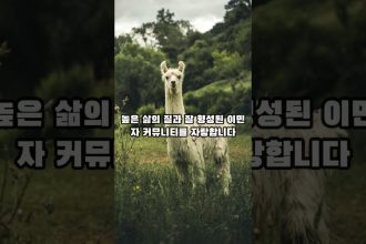 1761677409 maxresdefault infoshare - nz immigration news / 뉴질랜드 이민정보
