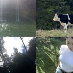 1761731411 maxresdefault infoshare - nz immigration news / 뉴질랜드 이민정보